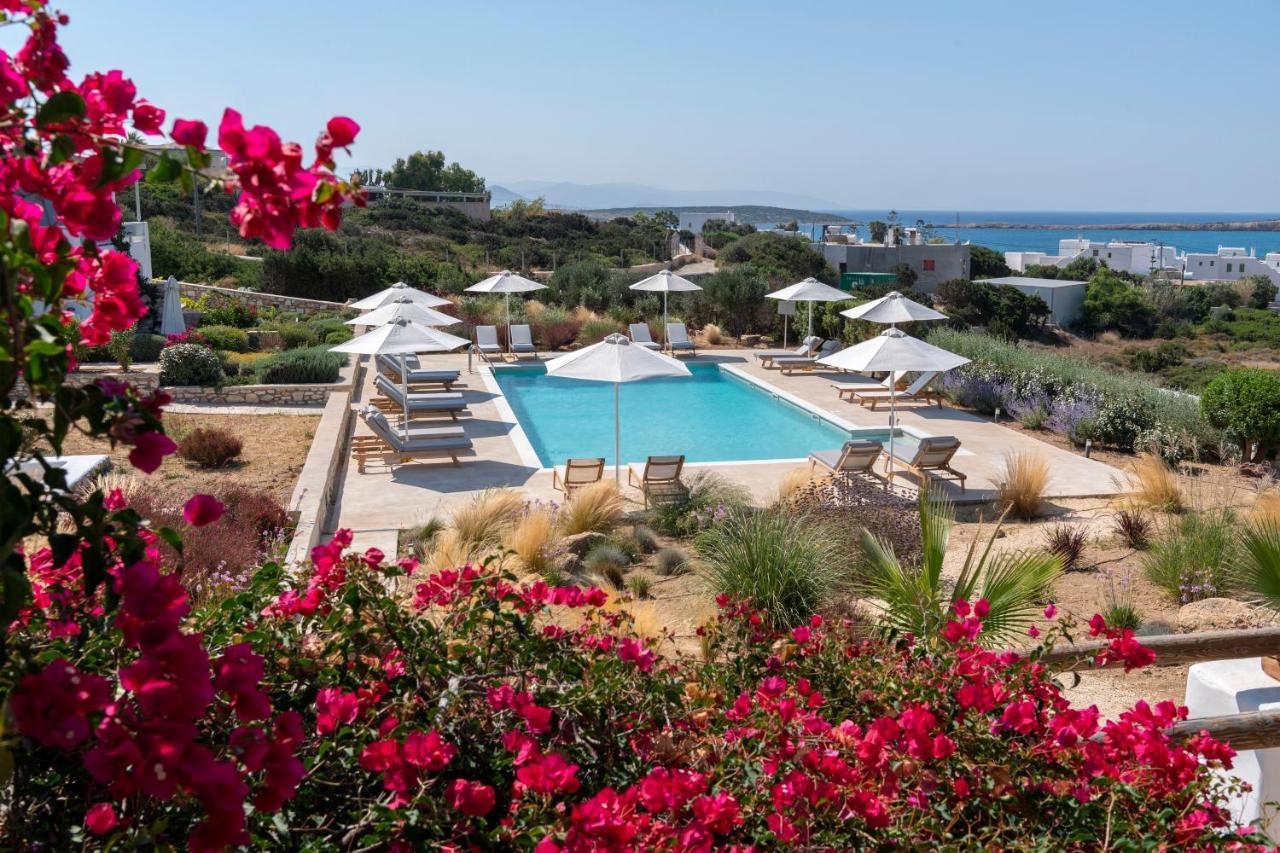 Sand Key Villa 1 サンタ・マリア エクステリア 写真
